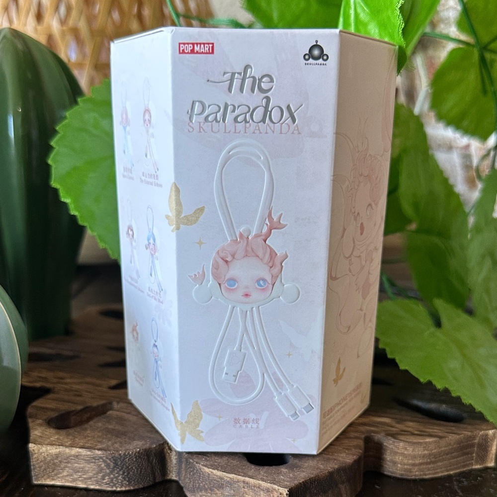 Pop Mart Skullpanda The Paradox Cable Charger Blind Box
